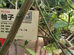 -呀路古热带植物园
