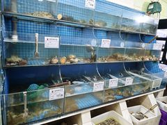 -宾朋海鲜饭庄(兴海路店)