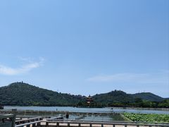 -顺峰山公园