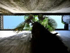 -乌镇东栅景区