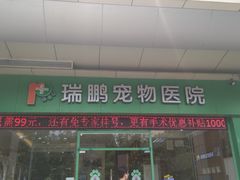 -瑞鹏宠物医院·骨科·猫科·内科(第一中心)