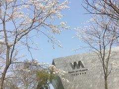 -武汉大学-樱园