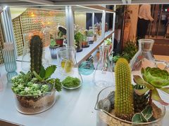 -PlantsEatery·植物食堂(REX春熙店)