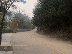 -葛子涧农家宴