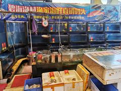 -碧海渔村(黄埔东路店)