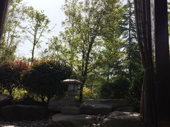 -楼观道温泉酒店