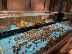 水产区-Mr·Fish鱼鲜生海鲜放题(银泰in99店)