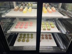 -火炉火自助餐(喜隆多店)