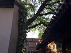 -铃木食堂(帽儿胡同店)