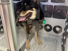 -FAELING PETS美天灵宠物(富力广场店)