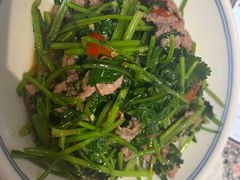 -壹盏灯(惠农店)