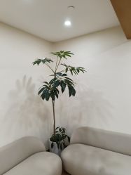 -HEYAN荷妍专业脱毛连锁机构