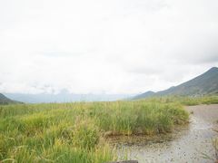 -泸沽肴(泸沽湖大洛水村农村信用社旁店)