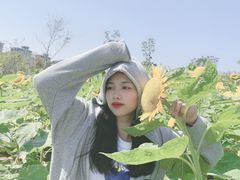 -瑶湖郊野森林公园