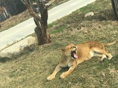 -西安秦岭野生动物园