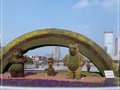 -映月湖中央公园