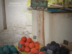 -大象粑粑造纸公园