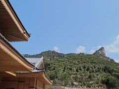 -王莽岭风景区
