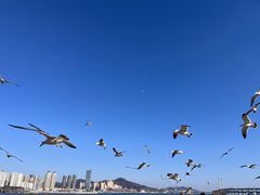 -黑石礁公园