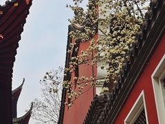 -长春观