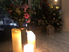 -蝶舍·MAISON PAPILLON