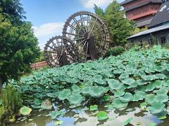 -东台西溪天仙缘景区