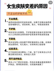 点击看大图 -凡碧诗毛孔清洁收细