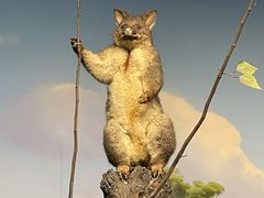 -陕西自然博物馆