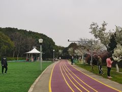 -尚贤河湿地