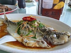 -八仔大富楼·河鲜(西江店)