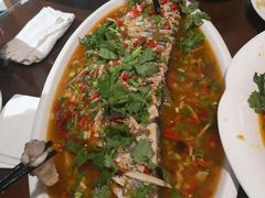 -飞虹鱼馆(春华路店)