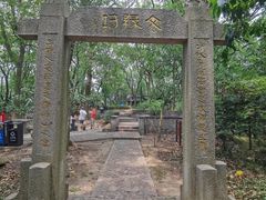 -上海佘山国家森林公园天马山园