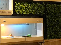 -打趸BTC·Breaktime cafe(北京路店)