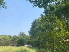 -洪湖家庭农场·团建·露营·会议