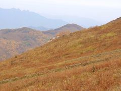 -灵山