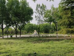 -南海子公园