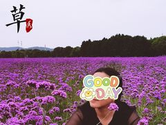 -山明水秀大饭店