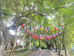 -星湖旅游景区七星岩