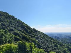 -杭州半山国家森林公园