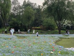 -上海滨江森林公园