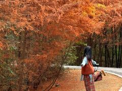 -白鹭湾湿地公园