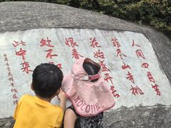 -庐山风景区花径公园