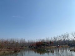 -合肥滨湖国家森林公园