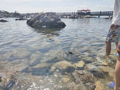 -养马岛旅游度假区