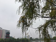 -迎泽公园