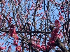 -菊花台公园