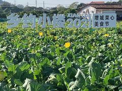 -荔枝红五号农庄