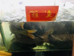 -干老四雅鱼饭店(滨江西路店)