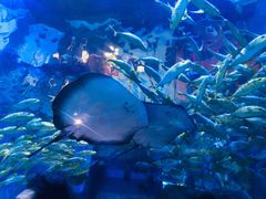 -华夏文旅海洋公园