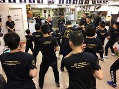 -温鉴良实用咏春拳